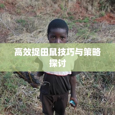 鸟声兽心