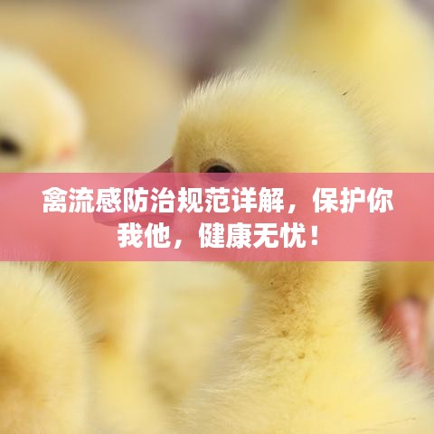 禽流感防治规范详解，保护你我他，健康无忧！