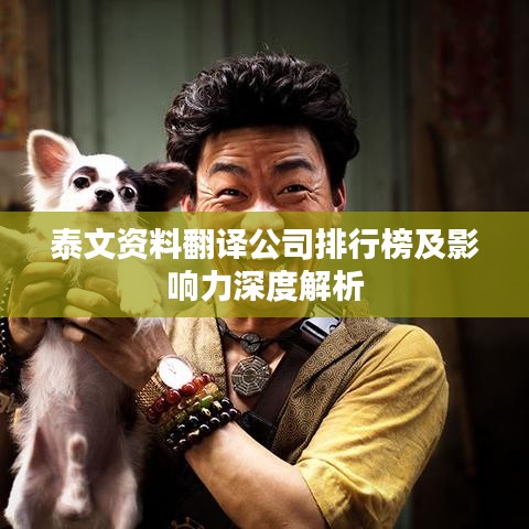泰文资料翻译公司排行榜及影响力深度解析