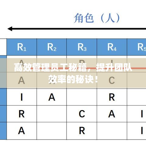 高效管理员工秘籍，提升团队效率的秘诀！