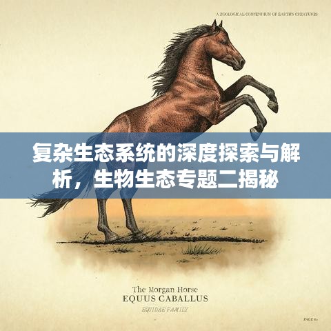 复杂生态系统的深度探索与解析，生物生态专题二揭秘