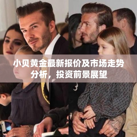 小贝黄金最新报价及市场走势分析，投资前景展望