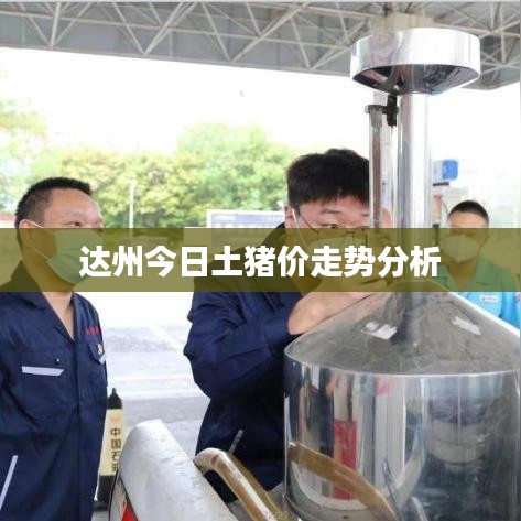 达州今日土猪价走势分析