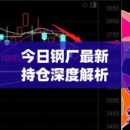 今日钢厂最新持仓深度解析