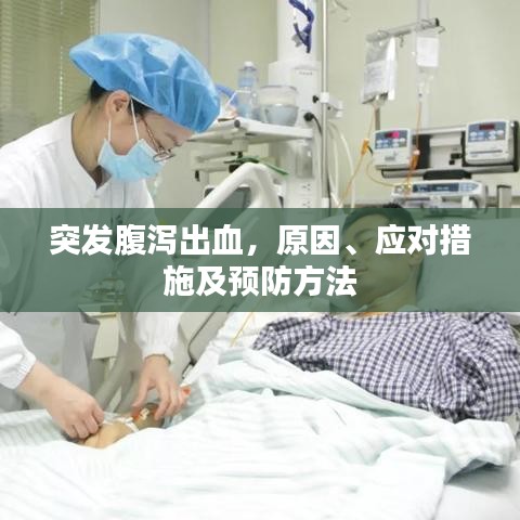 不畏权贵