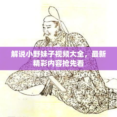 解说小野妹子视频大全，最新精彩内容抢先看