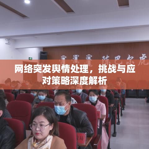 网络突发舆情处理，挑战与应对策略深度解析