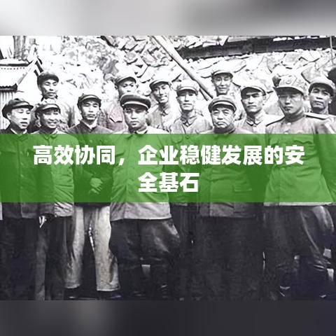 高效协同，企业稳健发展的安全基石