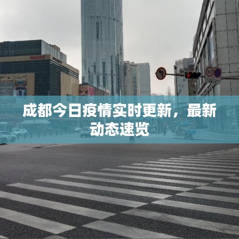 淡泊以明志，宁静以致远