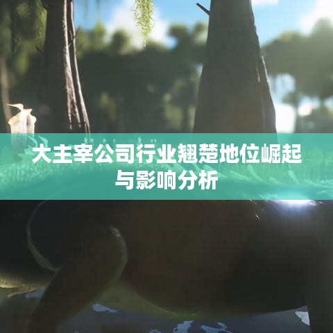 大主宰公司行业翘楚地位崛起与影响分析