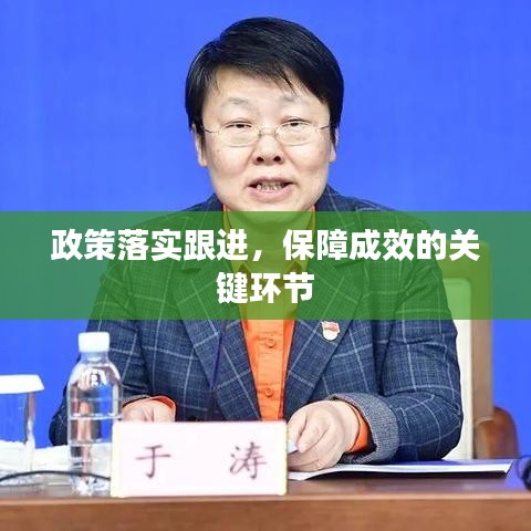 穷鸟入怀