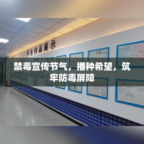 禁毒宣传节气，播种希望，筑牢防毒屏障