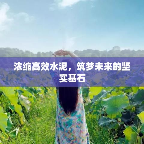 浓缩高效水泥，筑梦未来的坚实基石