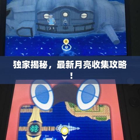 独家揭秘，最新月亮收集攻略！