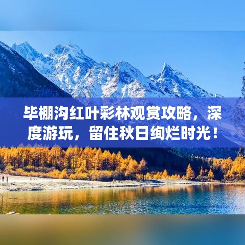 毕棚沟红叶彩林观赏攻略，深度游玩，留住秋日绚烂时光！
