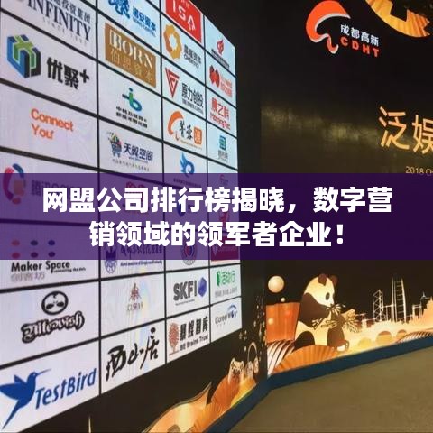 网盟公司排行榜揭晓，数字营销领域的领军者企业！