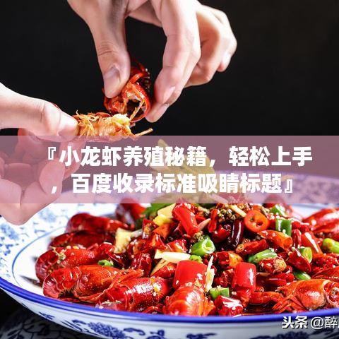 『小龙虾养殖秘籍，轻松上手，百度收录标准吸睛标题』