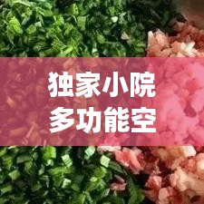 独家小院多功能空间运用秘籍，巧妙打造实用小院！