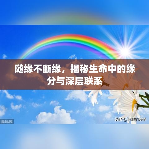 随缘不断缘，揭秘生命中的缘分与深层联系