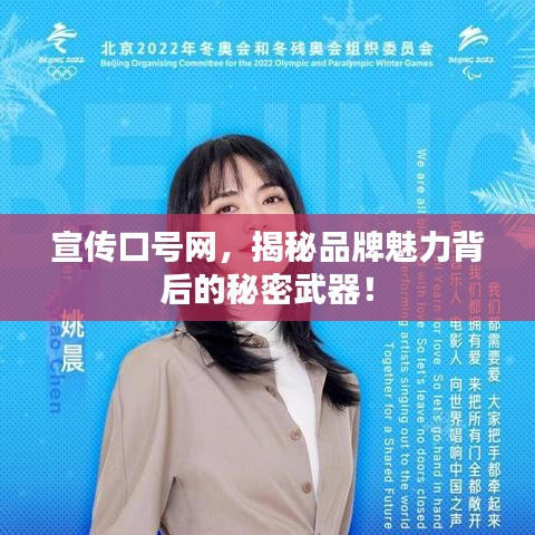 宣传口号网，揭秘品牌魅力背后的秘密武器！