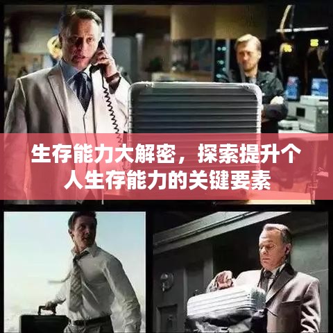 生存能力大解密，探索提升个人生存能力的关键要素