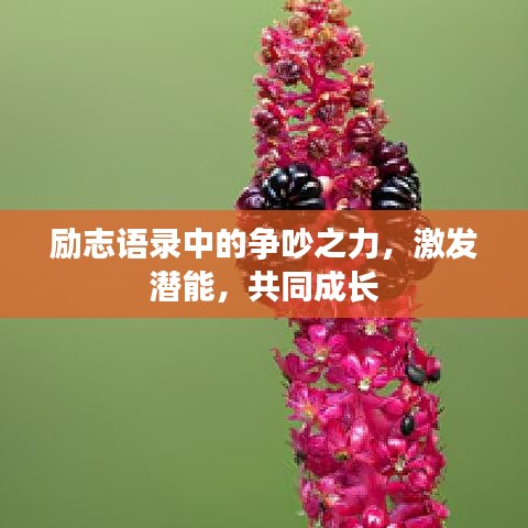 励志语录中的争吵之力，激发潜能，共同成长