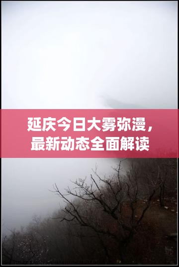 延庆今日大雾弥漫，最新动态全面解读