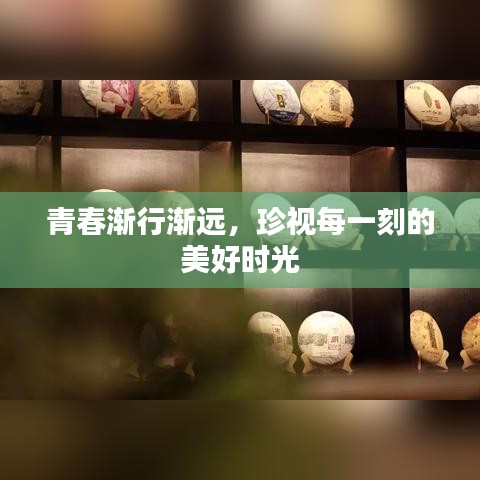 青春渐行渐远，珍视每一刻的美好时光