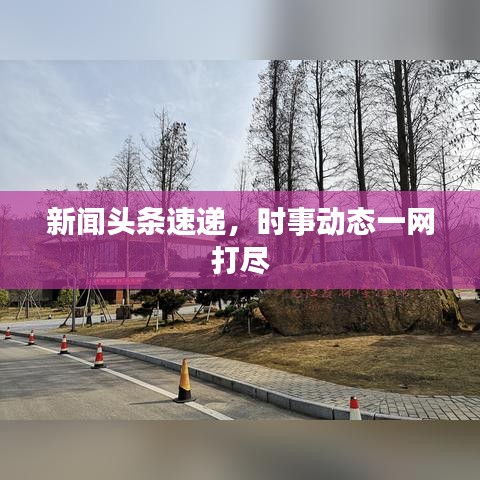 翰飞戾天