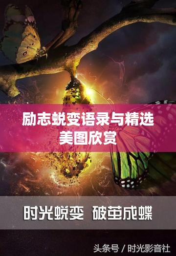 七上八下