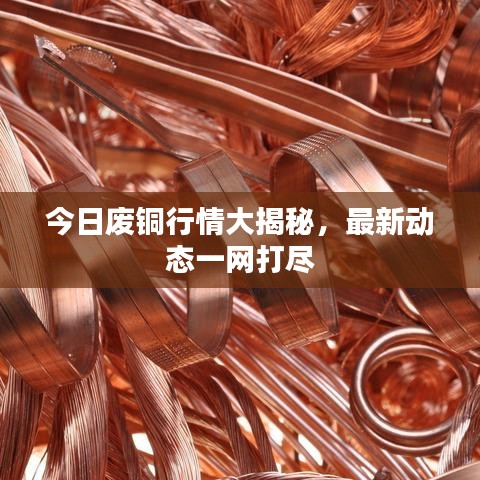 雅人深致