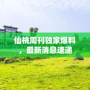 仙桃周刊独家爆料，最新消息速递