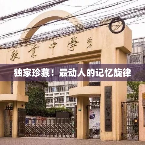 独家珍藏！最动人的记忆旋律