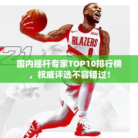 国内摇杆专家TOP10排行榜，权威评选不容错过！