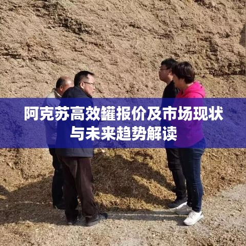 阿克苏高效罐报价及市场现状与未来趋势解读