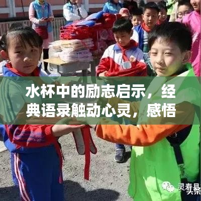 水杯中的励志启示，经典语录触动心灵，感悟人生之路