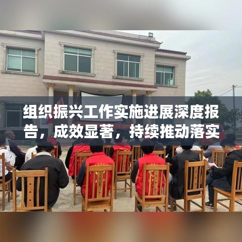 组织振兴工作实施进展深度报告，成效显著，持续推动落实
