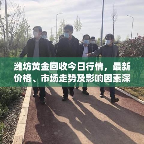 潍坊黄金回收今日行情，最新价格、市场走势及影响因素深度解析