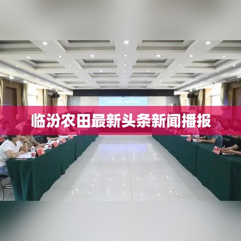 临汾农田最新头条新闻播报