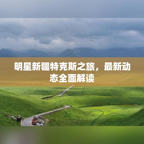 明星新疆特克斯之旅，最新动态全面解读