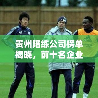 贵州陪练公司榜单揭晓，前十名企业盘点