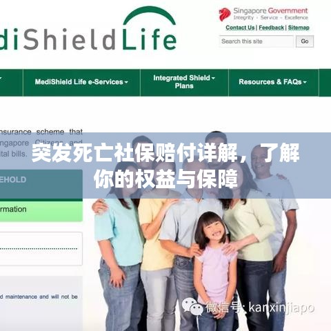 突发死亡社保赔付详解，了解你的权益与保障