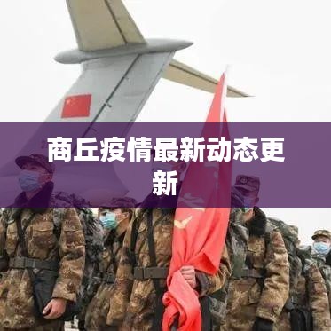 商丘疫情最新动态更新