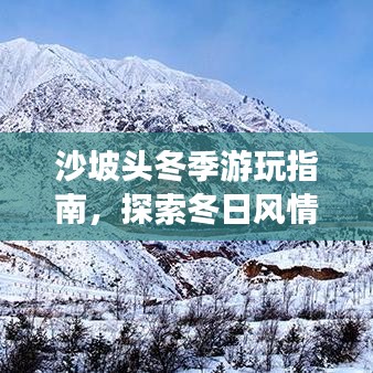 沙坡头冬季游玩指南，探索冬日风情，尽享独特体验