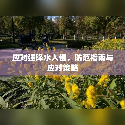 应对强降水入侵，防范指南与应对策略