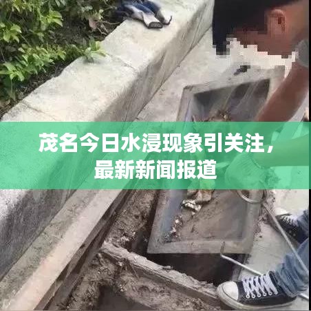 张皇无措