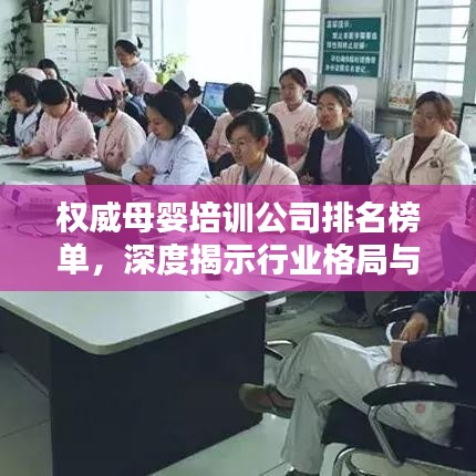 权威母婴培训公司排名榜单，深度揭示行业格局与领军力量
