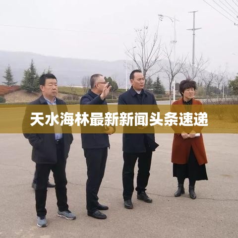 天水海林最新新闻头条速递