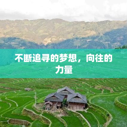 鬼张鬼智