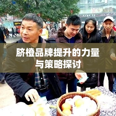 脐橙品牌提升的力量与策略探讨